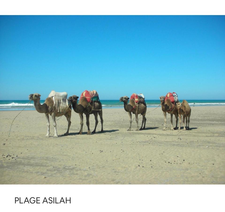 Tanger/Asilah: Appart 50M2 Face Mer Et Piscines, 5 Places, Tout Equipe+Wifi+Clim Lejlighed Briech Eksteriør billede